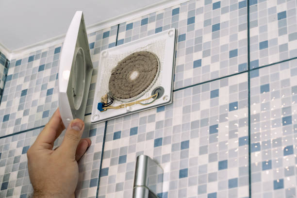 Best Ductwork Cleaning Services  in Dunlap, IL